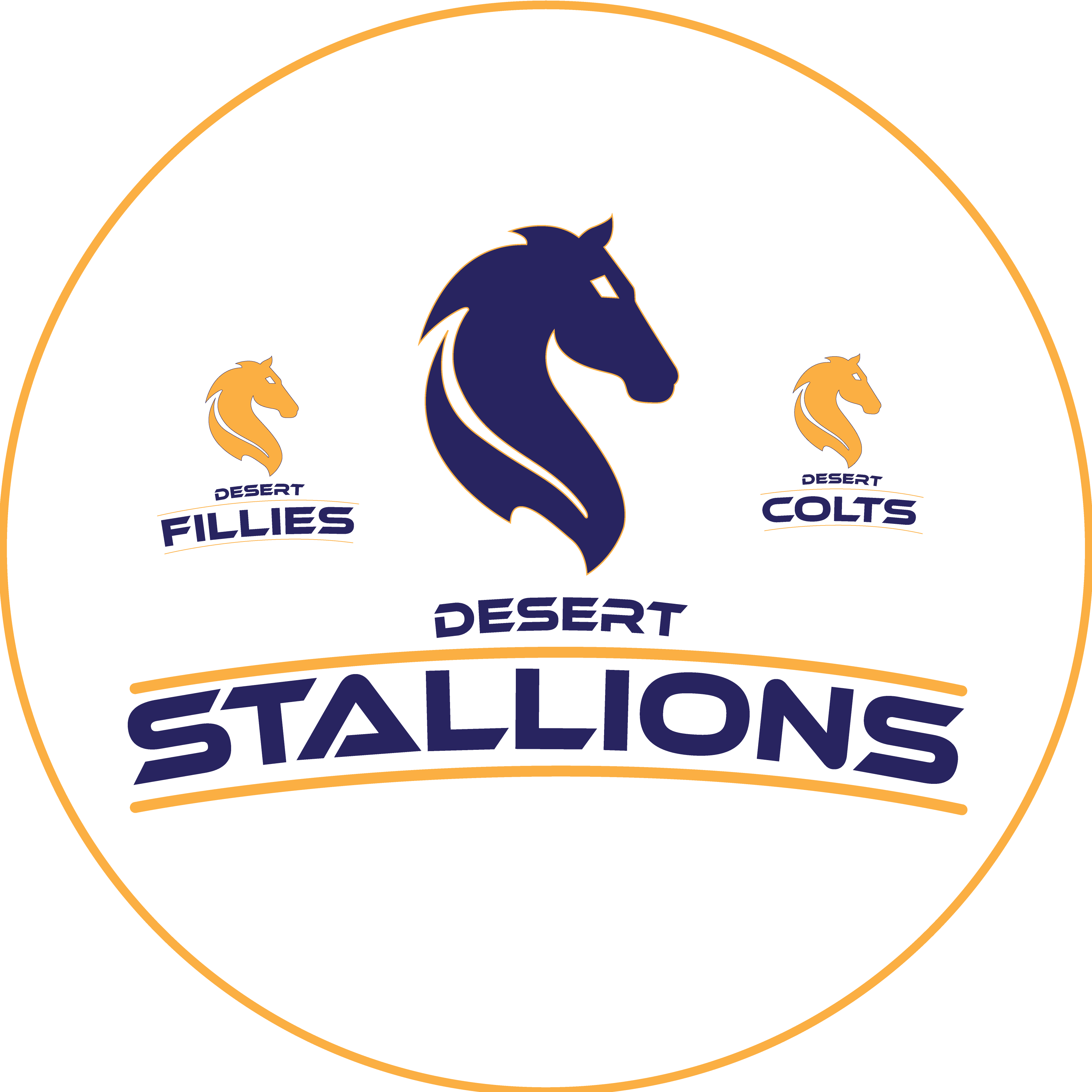 Desert Stallions 2026